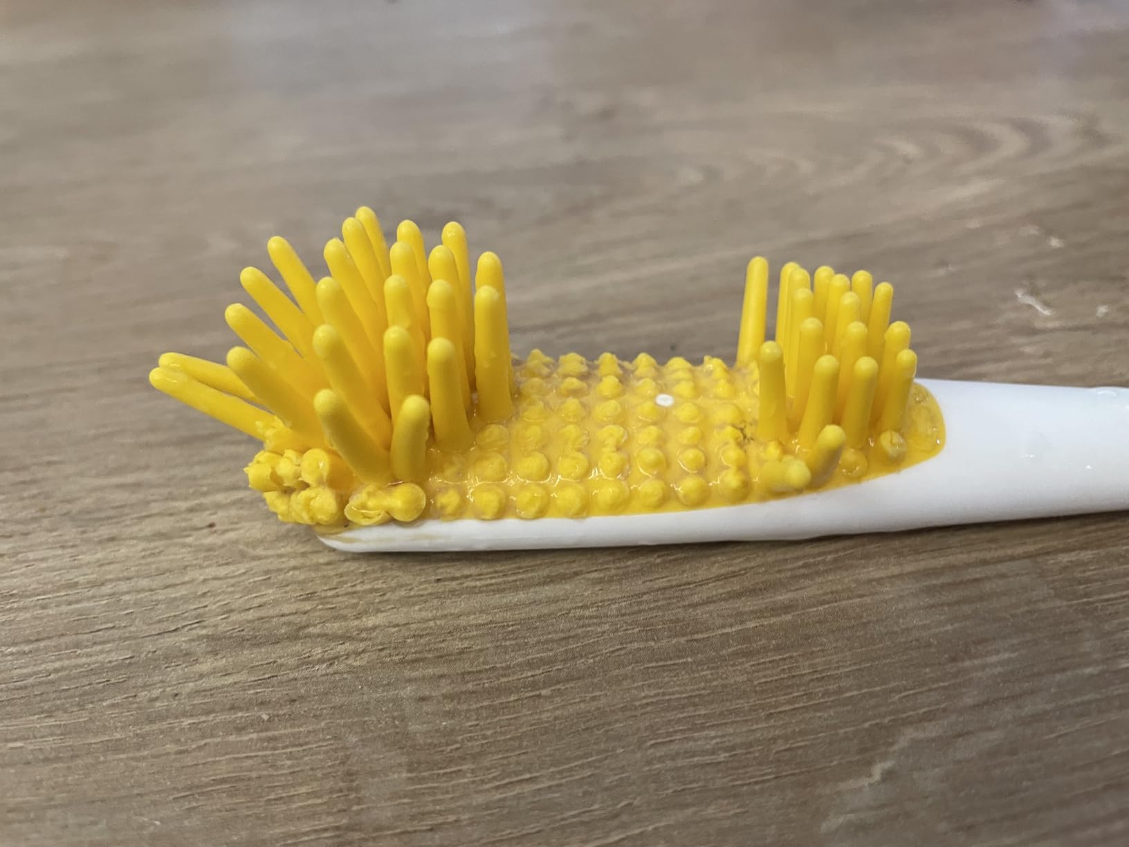 Beste Bürste